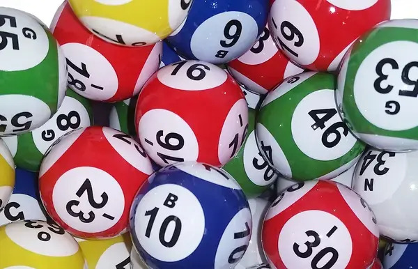 Bingo Hráči na Forbes Casino